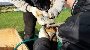 Воздух в системе водоснабжения загородного дома