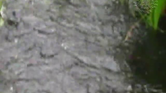 К истокам. А по камушкам речка бежит... смотреть онлайн