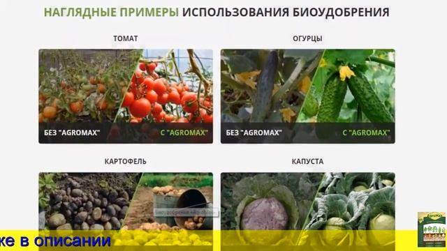 Удобрение агромакс для огурцов смотреть онлайн