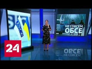 Клон ОБСЕ: чем занимались сотрудники липовой организации - Россия 24