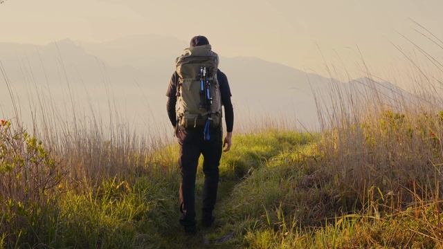 Sony Sonnar T* FE 55mm f/1.8 Review | Hey, you... JUST BUY THIS смотреть онлайн