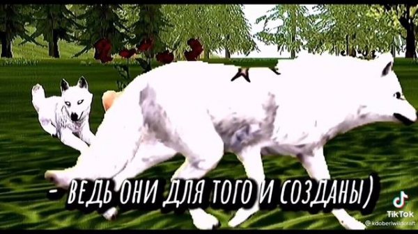 🍤🖤Вайлд крафт тик ток 3 часть🖤🍤