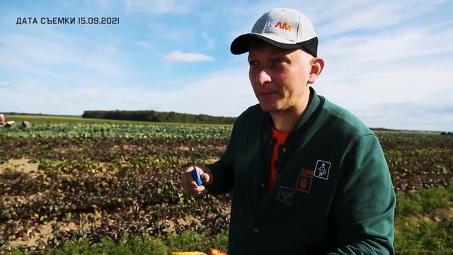 Дегустация разноцветной моркови от Бейо Заден смотреть онлайн