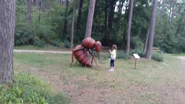 ВЛОГ ПАРК АТТРАКЦИОНОВ И РАЗВЛЕЧЕНИЙ ТАИНСТВЕННЫЙ МИР PARK MAGIC FOREST !!! смотреть онлайн