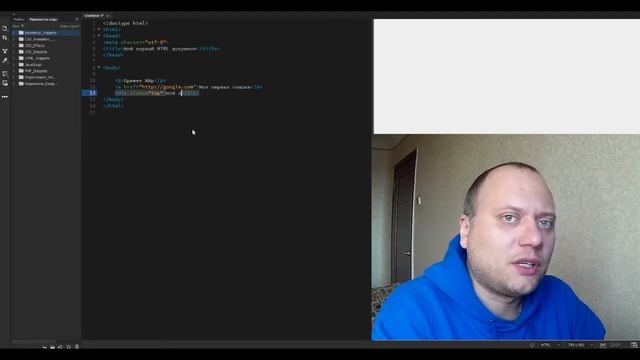 Сайтостроение с нуля – D Nik Webmaster смотреть онлайн