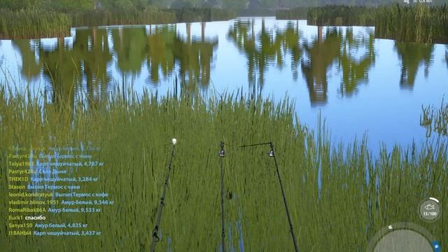 МЕДВЕЖКА ! карп,амур,линь золотистый на кокос и сливки смотреть онлайн