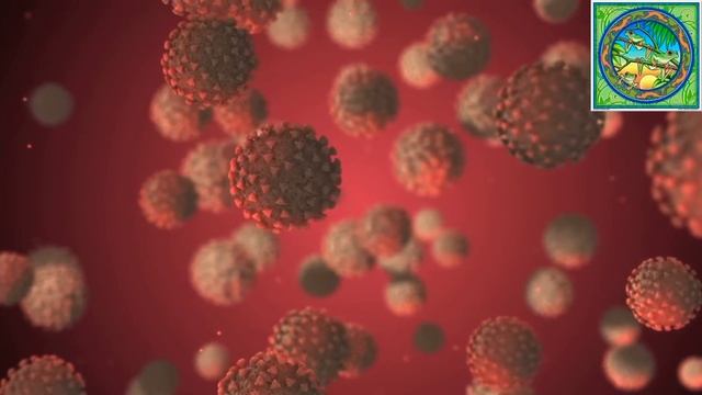 Рапэ, что это такое? Провожу церемонии Камбо и Рапэ в Москве, Петрозаводске и Питере. смотреть онлайн