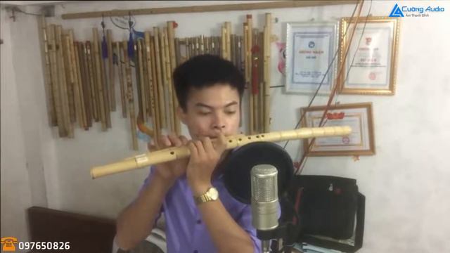 Người Mèo Ơn Đảng | Sáo Vũ Trụ | Micro Thu Âm Takstar PC K200, Sound Card XOX K10