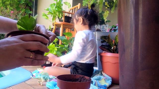 Minha Rotina Com As Minhas Plantas Do Quintal | Tour Plantas De Casa 🪴🌿🌸🏠💕