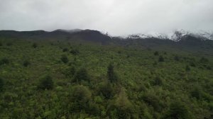 Новые даргинские песни [5] 2023