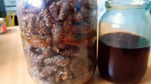 ЧУДО НАСТОЙКА ИЗ СОСНОВЫХ ШИШЕК??БЫСТРО ЛЕЧИТ ПРОСТУДУ!?