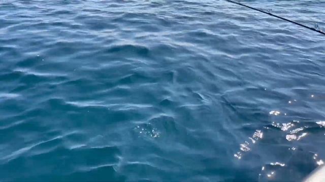 Поймал огромного GT, рыбалка в Мусандаме, Оман. смотреть онлайн