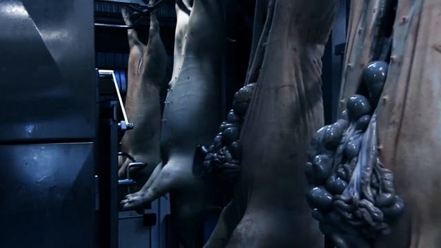 The Outside Agency - A Perfect World (ctrl-x music video) смотреть онлайн