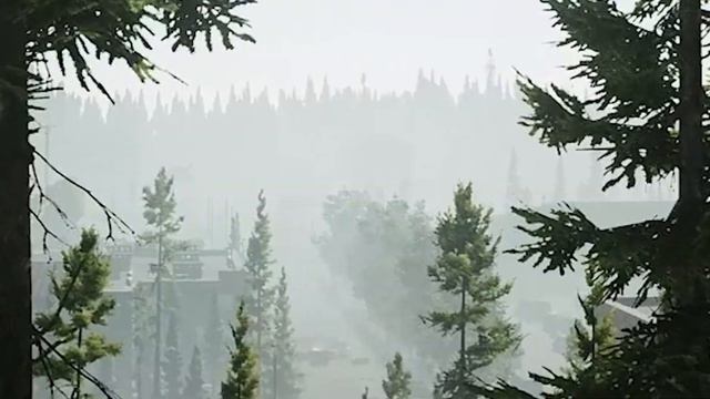GLs on Reserve Have NO KICK? - Escape from Tarkov Guide смотреть онлайн