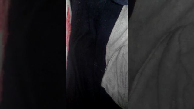 Телефон в стиральной машине смотреть онлайн