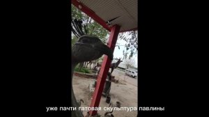 скульптура павлин из арт бетона своими руками ??