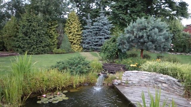 Пруд в моём саду 05.07.2019 смотреть онлайн