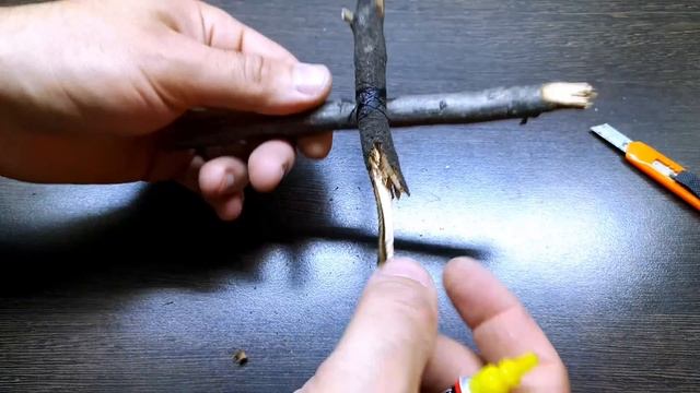 10 СПОСОБОВ СОЕДИНЕНИЯ КОРЯГ В АКВАРИУМЕ смотреть онлайн