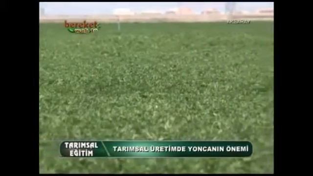 Yonca Yetiştiriciliği 1 Bölüm online video cutter com смотреть онлайн