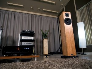 Прослушивание. Audio Physic Classic 5, Vincent CD-S7, Audia Flight Three S