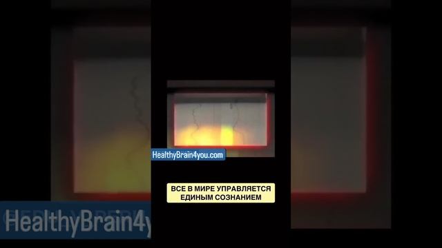 Земля имеет сознание. смотреть онлайн