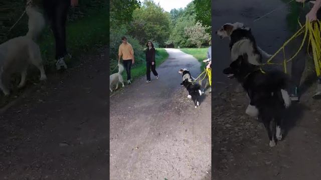 Roki #15 смотреть онлайн