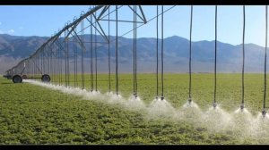 профессии отрасли сельского хозяйства