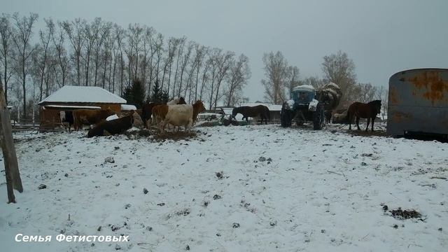 Влог. Сено. Животные. Творчество.....// Семья Фетистовых смотреть онлайн