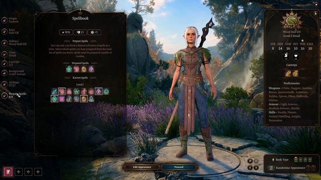 Druid Build for My Honour Playthrough | Baldurs Gate 3 смотреть онлайн