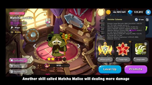 Matcha Cookie Max Lvl Quick Review | Cookie Run Kingdom