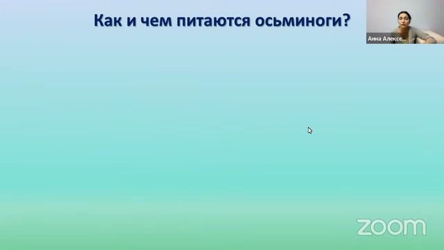 Онлайн занятие по биологии. Головоногие моллюски смотреть онлайн