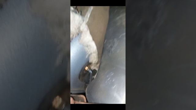 Замена КПП Форд Фокус 2 с 1,8 IB 5 на MTX 75 смотреть онлайн