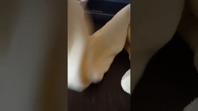 Набор  Nega Mini