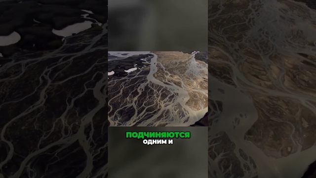 Связь природы и человека: тайна рек, растений и животных. ДОМ - История Путешествия смотреть онлайн