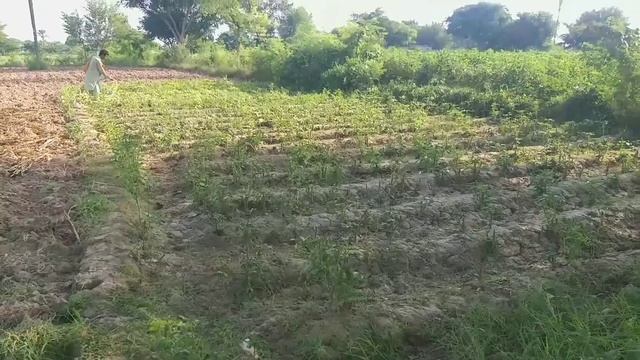 Startup of a diesel engine / Works in a fields / Rural area /Pakistan смотреть онлайн