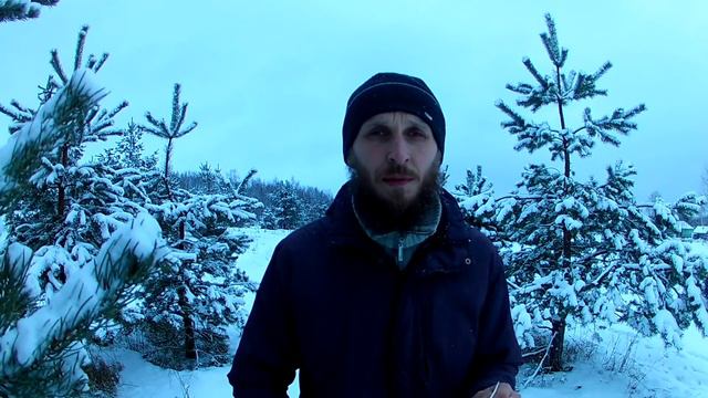 Сколько стоит ПАСЕКА с нуля. КХ Алексеевых. смотреть онлайн