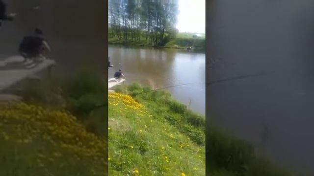 Платная рыбалка в Раменском районе смотреть онлайн