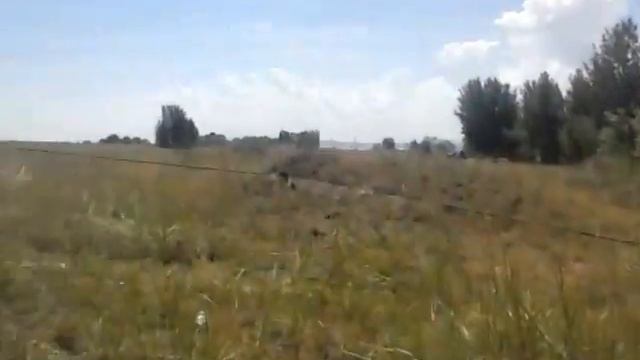 МТЗ своих не бросают) смотреть онлайн