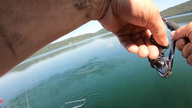 ЛИНЬ. 20 кг. смотреть онлайн