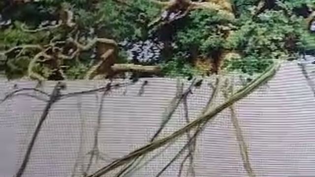 1\5 Дубовой рощи смотреть онлайн