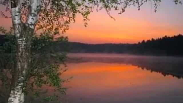 Ты простишь ,если любишь.Untitled_720x576Liliy137.wmv смотреть онлайн