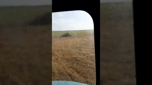 Т-40 с волокушей смотреть онлайн