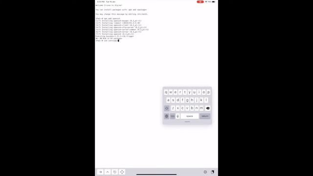 iSH openssh on iPad смотреть онлайн