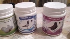 "" ГОЛУБИ "" ?️ ПРЕПАРАТЫ  ?️ 24.04.2020.г.