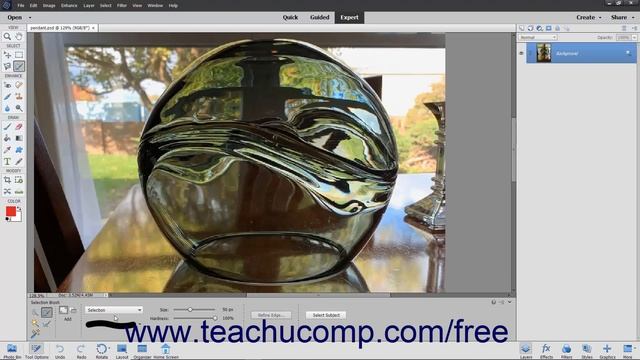 Learn How to Use the Selection Brush Tool in Adobe Photoshop Elements 2023: A Training Tutorial смотреть онлайн