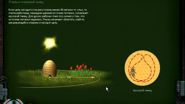❁Биотопия ❁Bioschopia ❁8❁RU/ENG❁ энциклопедия Зоология 2 / Zoology II смотреть онлайн