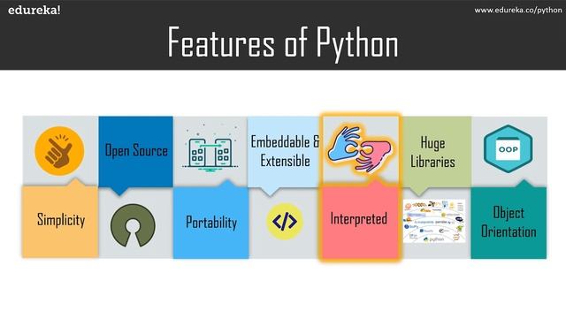 What is Python used For? What is Python? Why Python Is So Popular | Python Programming For Beginner смотреть онлайн