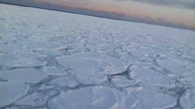 Норвежское море.Район острова Мевежий.СТМ "Освейское" смотреть онлайн