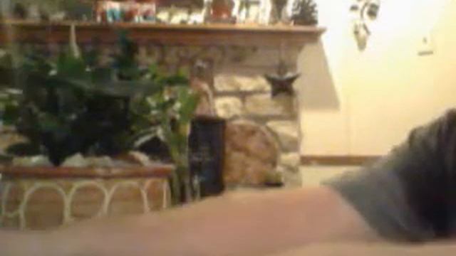 NEW Orchids part 2 смотреть онлайн