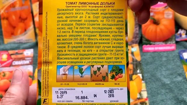 Жёлтые томаты , выросшие в 2022 году в Подмосковье смотреть онлайн